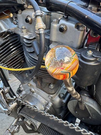 Encased skull/ skateboards shift knob